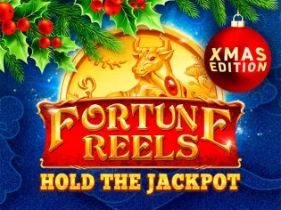 Fortune Reels Xmas game icon